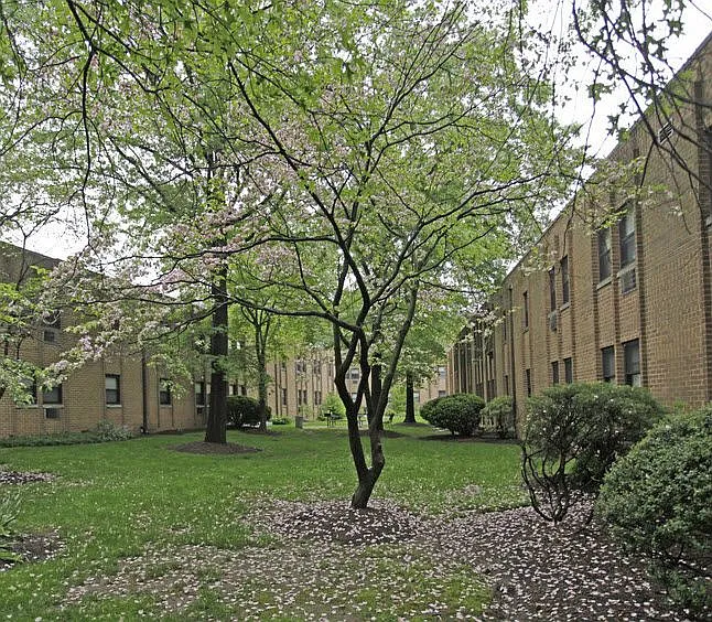 Watchung View Apartments — Photo 8