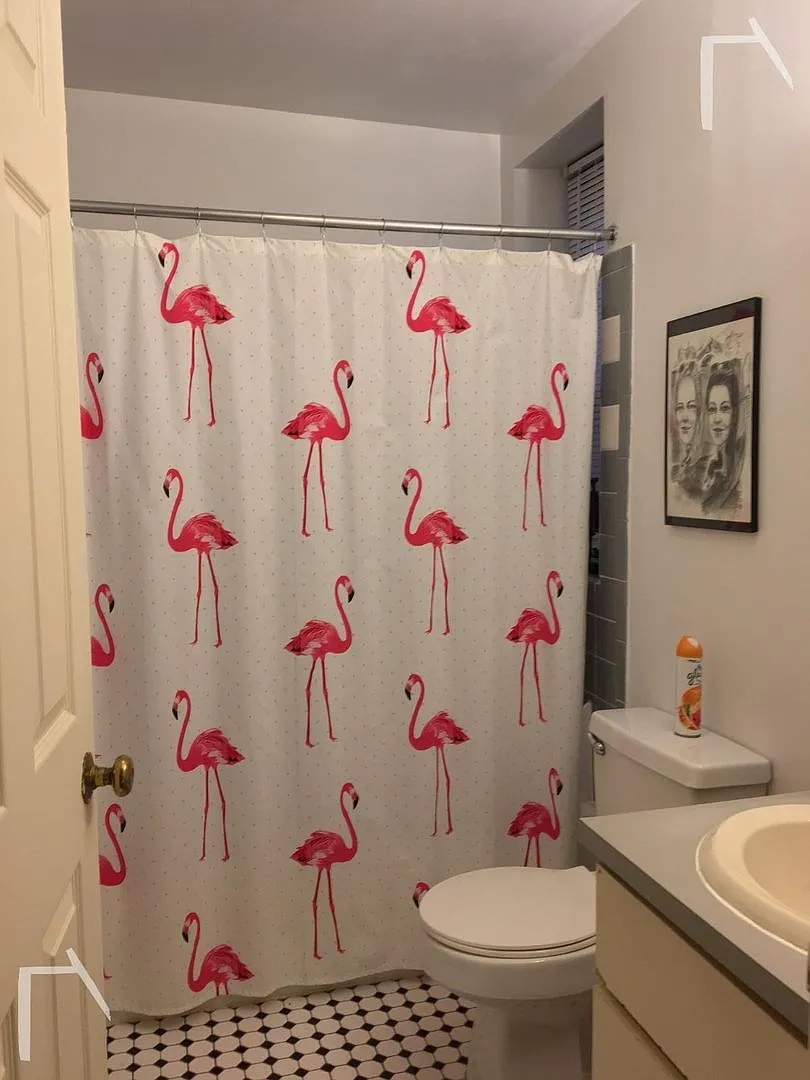 3 bed in fenway — Photo 3