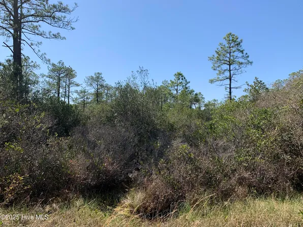 Lot 149 Bermuda Road, Boiling Spring Lakes, NC 28461