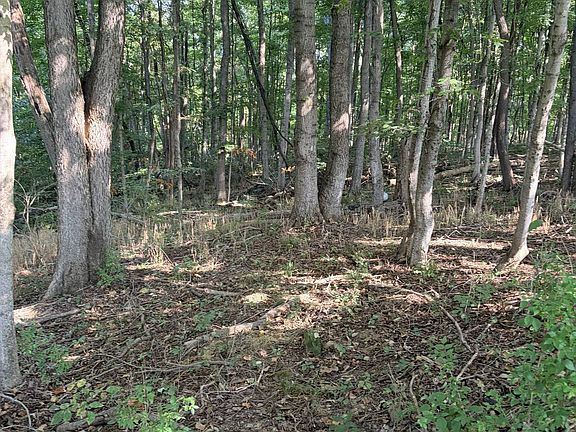 3rd image of 16 Shinkles Ridge Rd