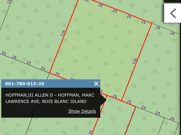 78001520 Lawrence Ave, Pointe Aux Pins, MI 49775