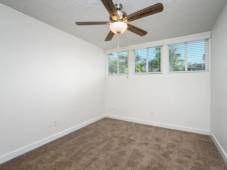 Antone Apartments — Photo 184