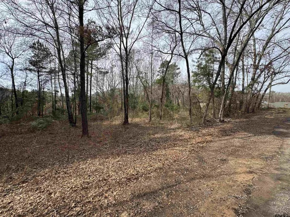 0 County Road 1223, Tyler, TX 75709