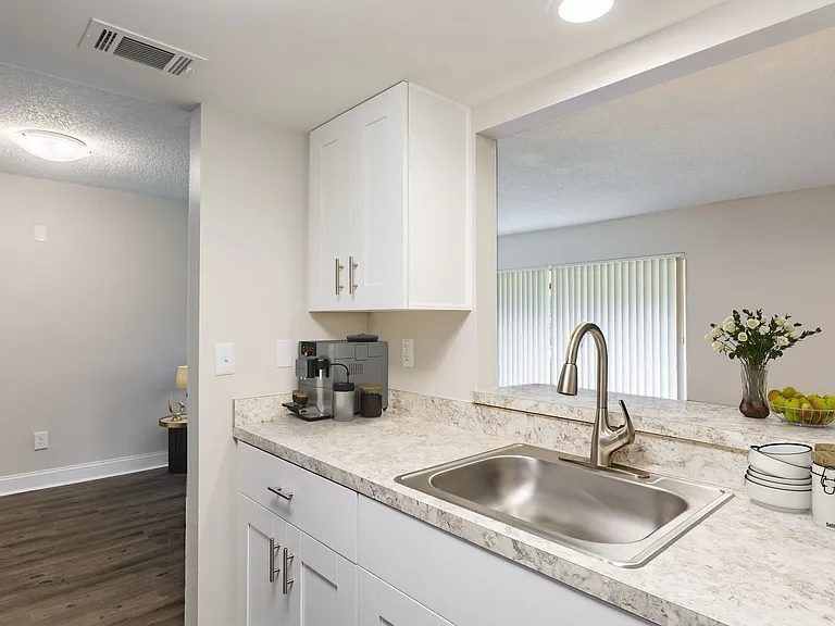 Silver Palms Apartments — Photo 14