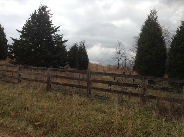 2nd image of Graf Acres Rd