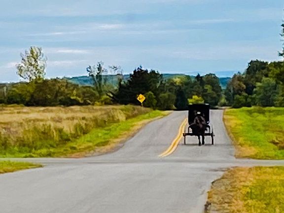 Amish Carriage