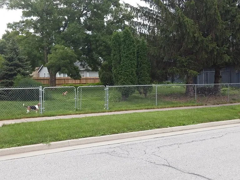 View from street into backyard