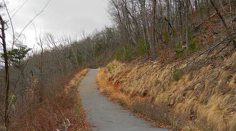 4th image of Bald Eagle Dr #20