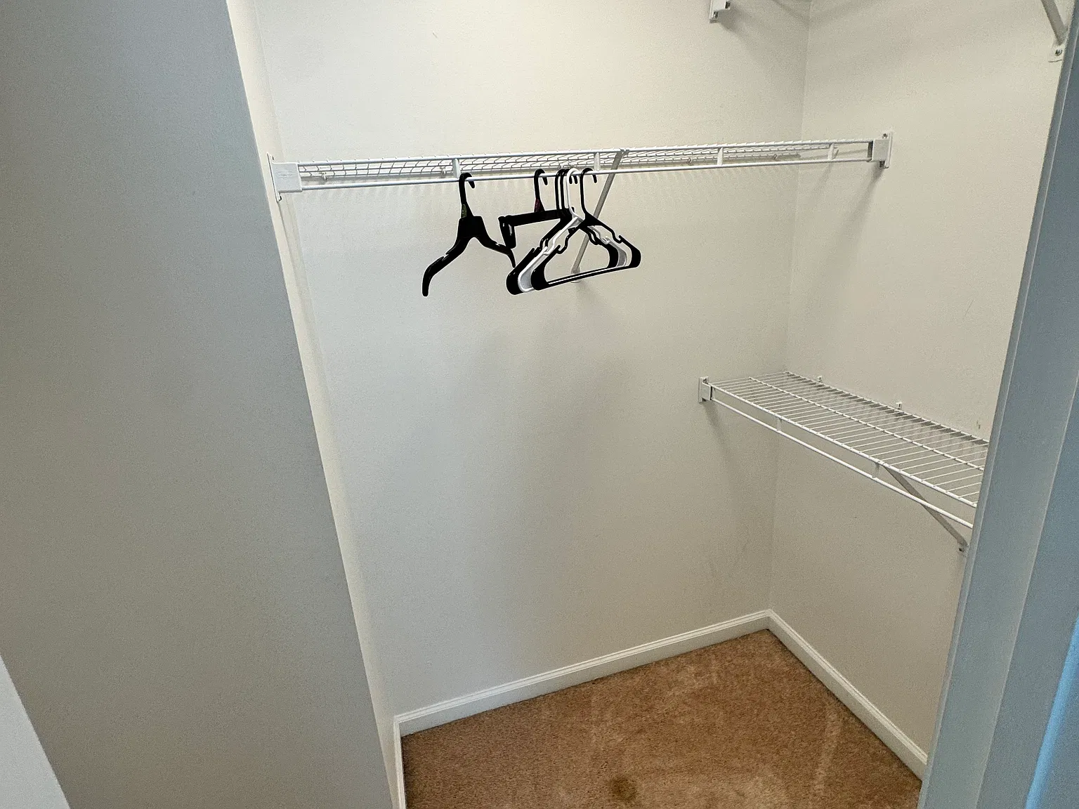 5914 Mount Water Trl — Photo 2