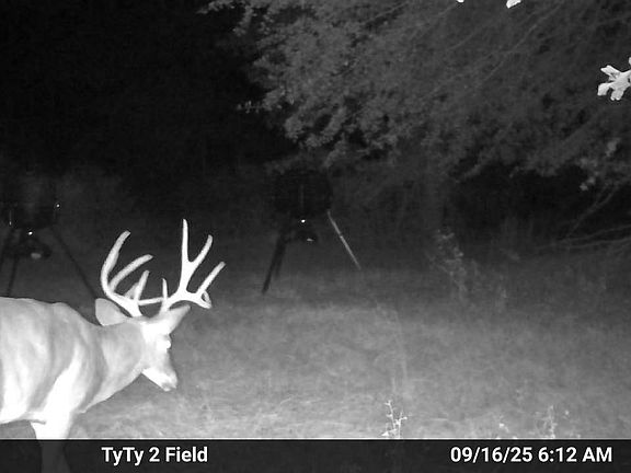 3rd image of 625 Willis Rd