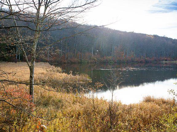 many options to build