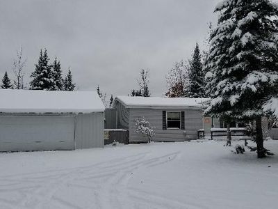 4203 Shooks Rd, Wolverine, MI, 49799