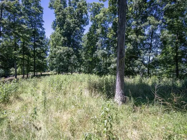 290 Long Fork Rd, Flatwoods, WV 26621