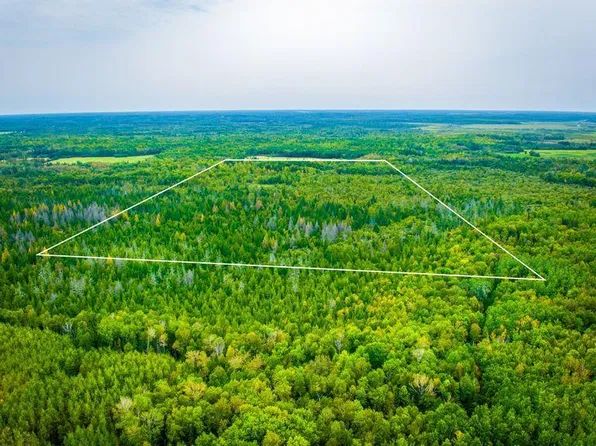 12479 Battle Rd NE, Blackduck, MN 56630