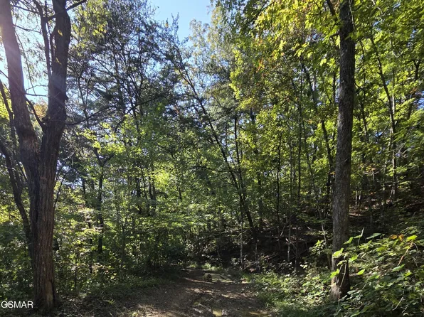 98 Short Redbud Ln Lot 98, Sevierville, TN 37876