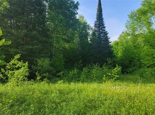 40A On Doland Rd, Winter, WI 54896