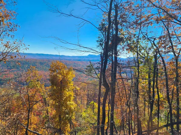 0 Big River Rd, Goshen, VA 24439