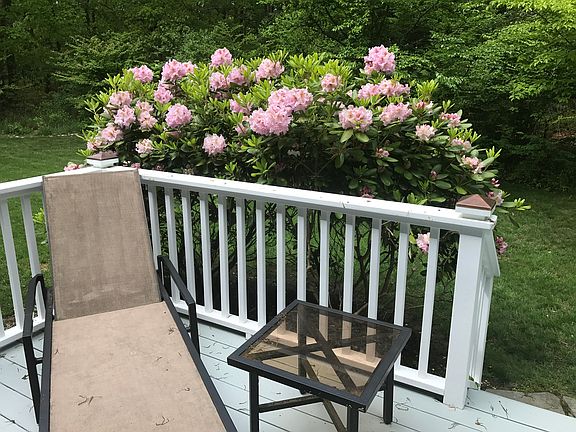 5th image of 19 Longwoods Ln