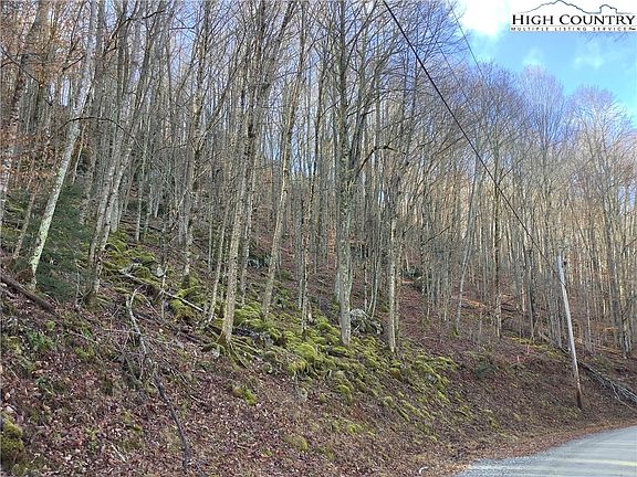3rd image of 197 Wild Daisy Lane