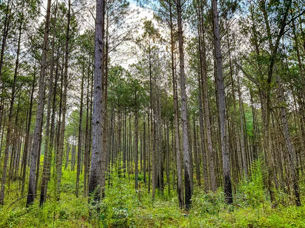 County Road 5131, Booneville, MS 38829