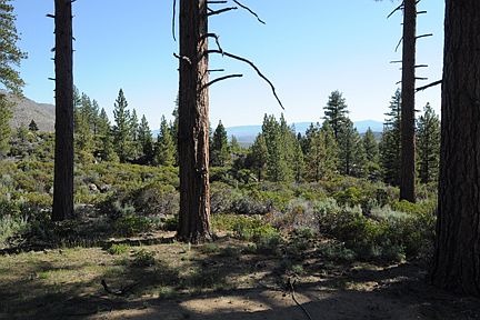 Looking north to Carson Vall