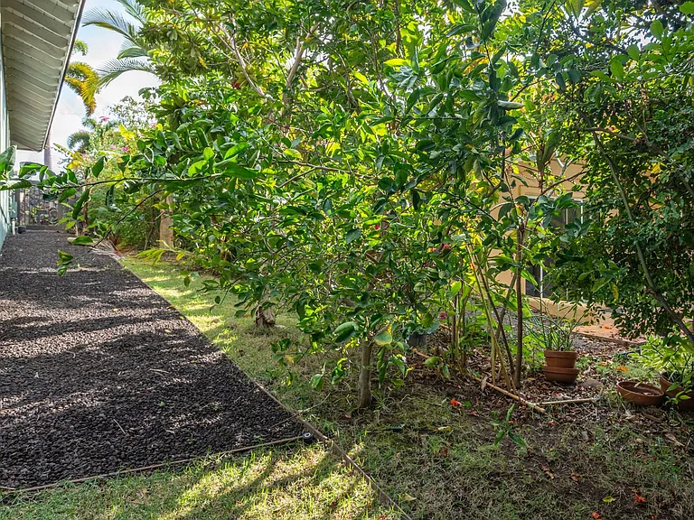 29 Waikai St — Photo 71