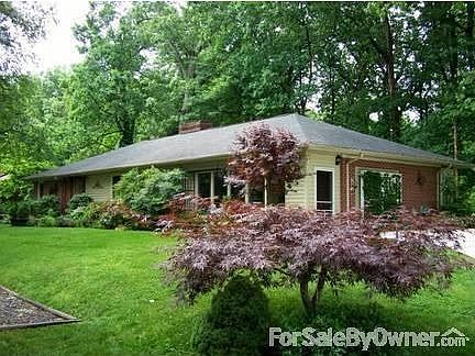 Japanese maples & guest parking