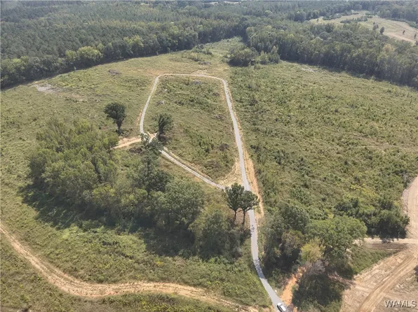 LOT 12 County Road 21, Moundville, AL 35474