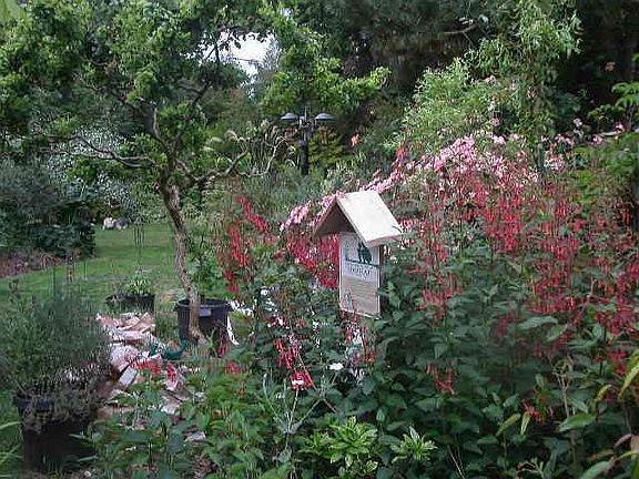 Wildlife Sanctuary/ Pics of house to come.