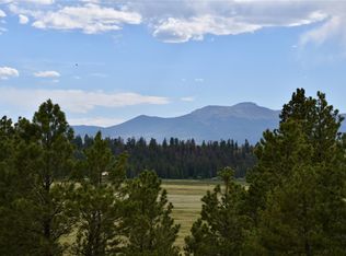3437 Redhill Road, Fairplay, CO 80440