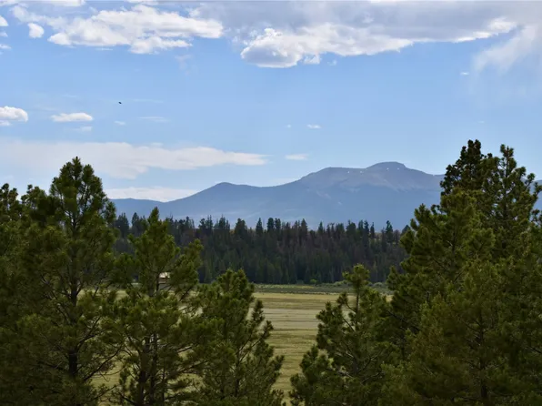 3437 Redhill Road, Fairplay, CO 80440