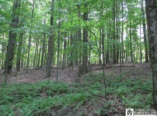 Snowball Hollow Rd, Scio, NY 14880