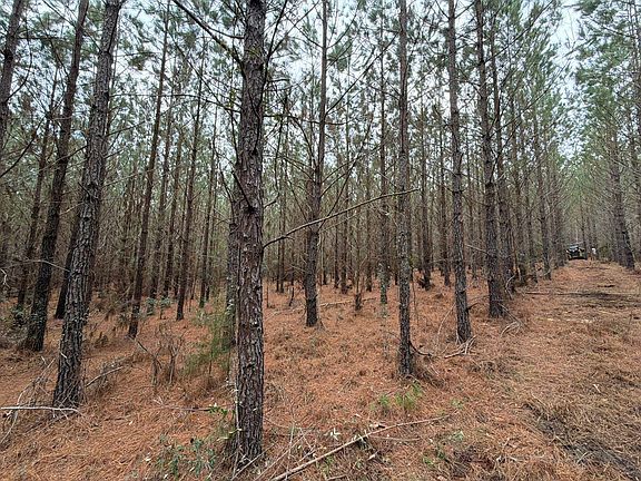 2nd image of Bff Ii 2 J C Barefoot Rd