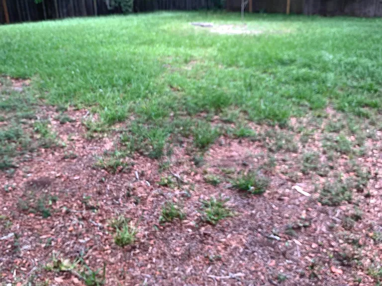 916 Palermo Rd — Photo 20
