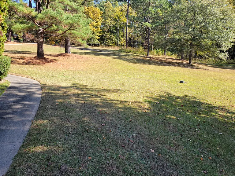 12217 Old Falls Of Neuse Rd — Photo 5