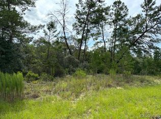 8505 N Newmark Way, Citrus Springs, FL 34433