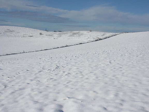 3rd image of 1283 Kitzmiller Rd