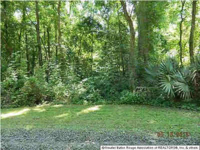 10332 Paul Moinot Rd, Gonzales, LA, 70737