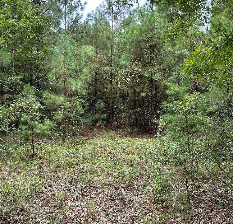 2nd image of 0 County Road 29