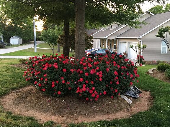 5th image of 224 Blakedale Cir