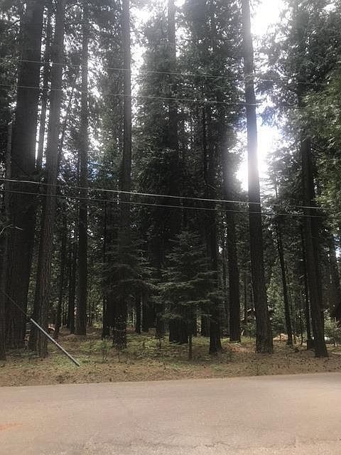 2nd image of 2730 Hangtree Trl