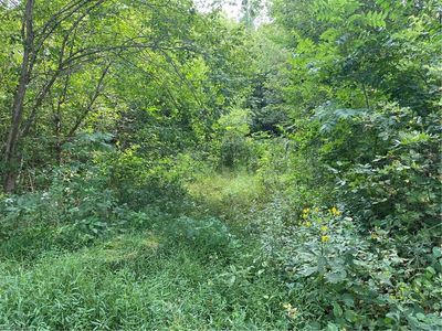 Muskingum River Rd, Lowell, OH, 45744