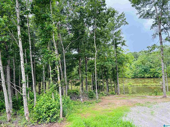 3rd image of 8 County Road 499 Lot 8