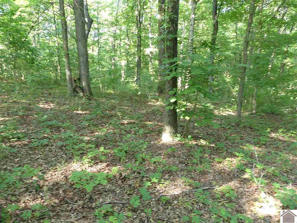 1st image of LOT 987 Pine Bluff Subd