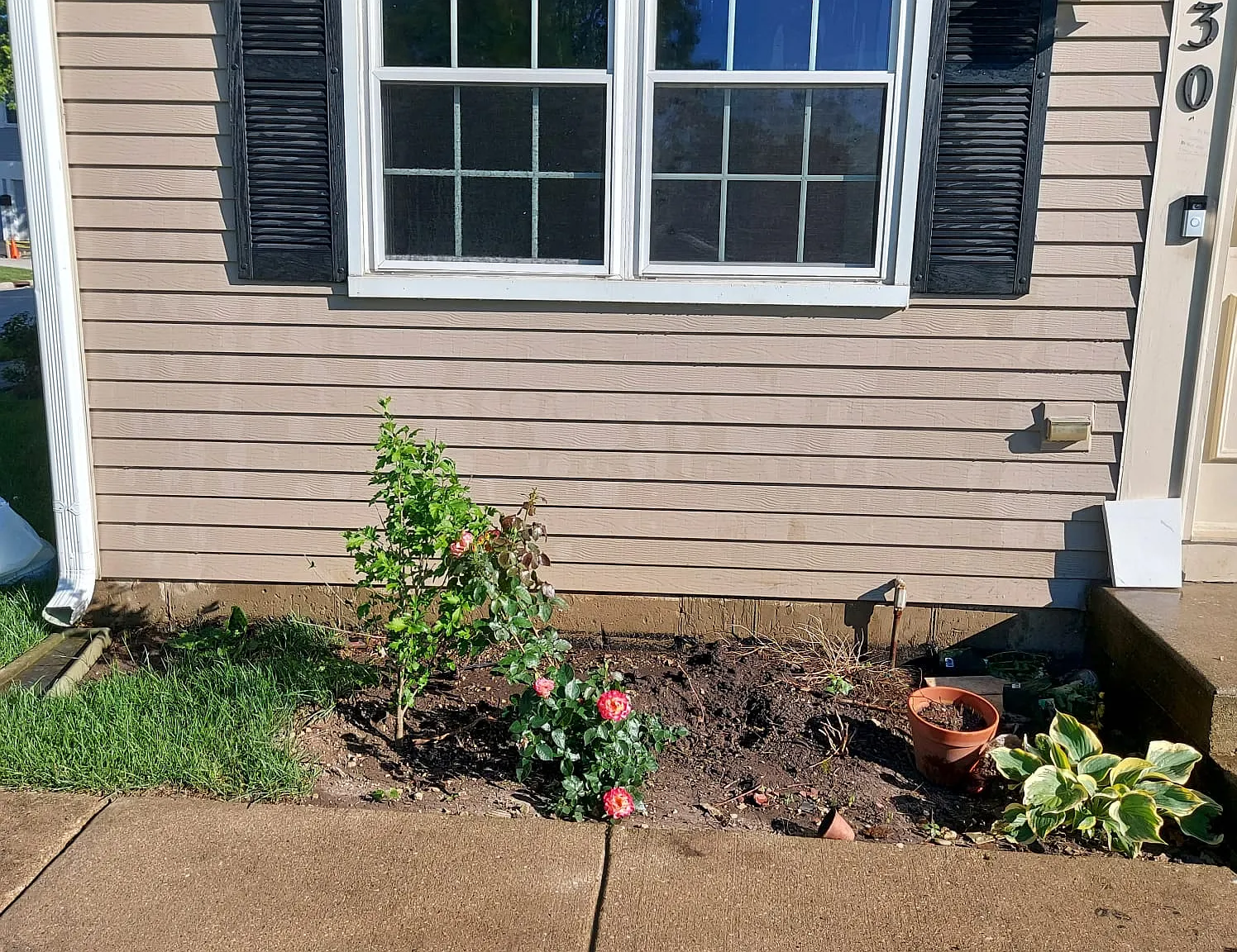 330 Plumwood Ln — Photo 3