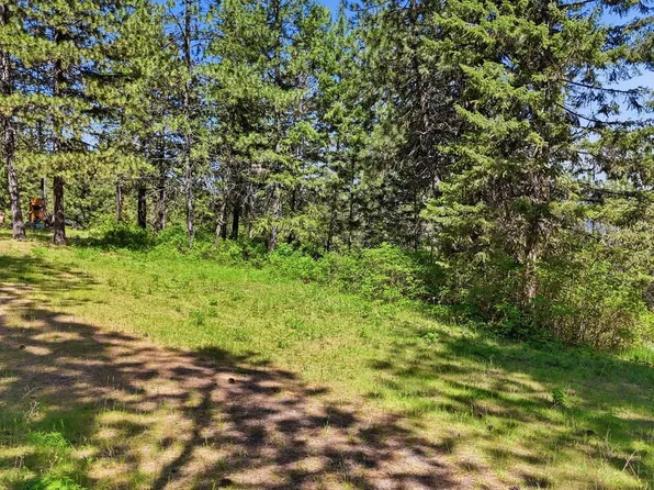 12703 S Alpine Fern Ln, Rockford, WA 99030