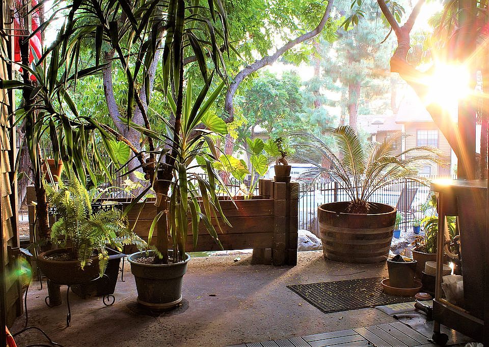Patio, pool and pond view