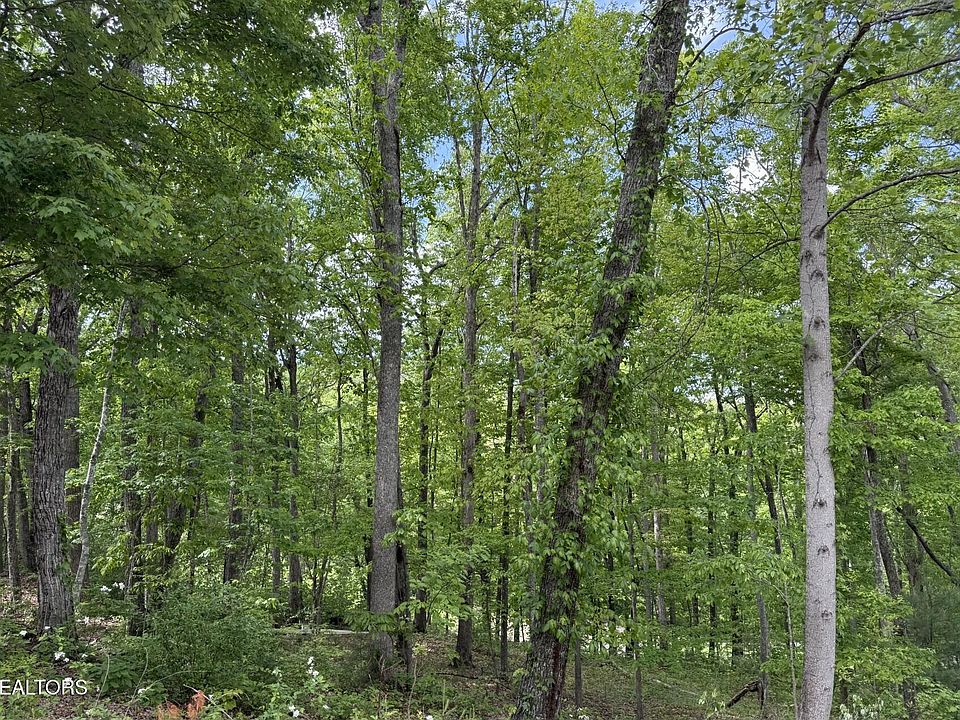 1st image of 21 Claremont Cir