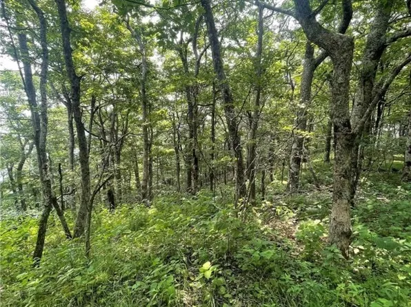 TBD Rousseau Farm Road, Wilkesboro, NC 28697