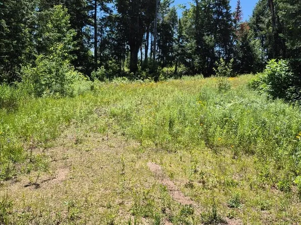 LOT 15 Steenburg Lake Rd N, Limerick, ON K0L 1W0